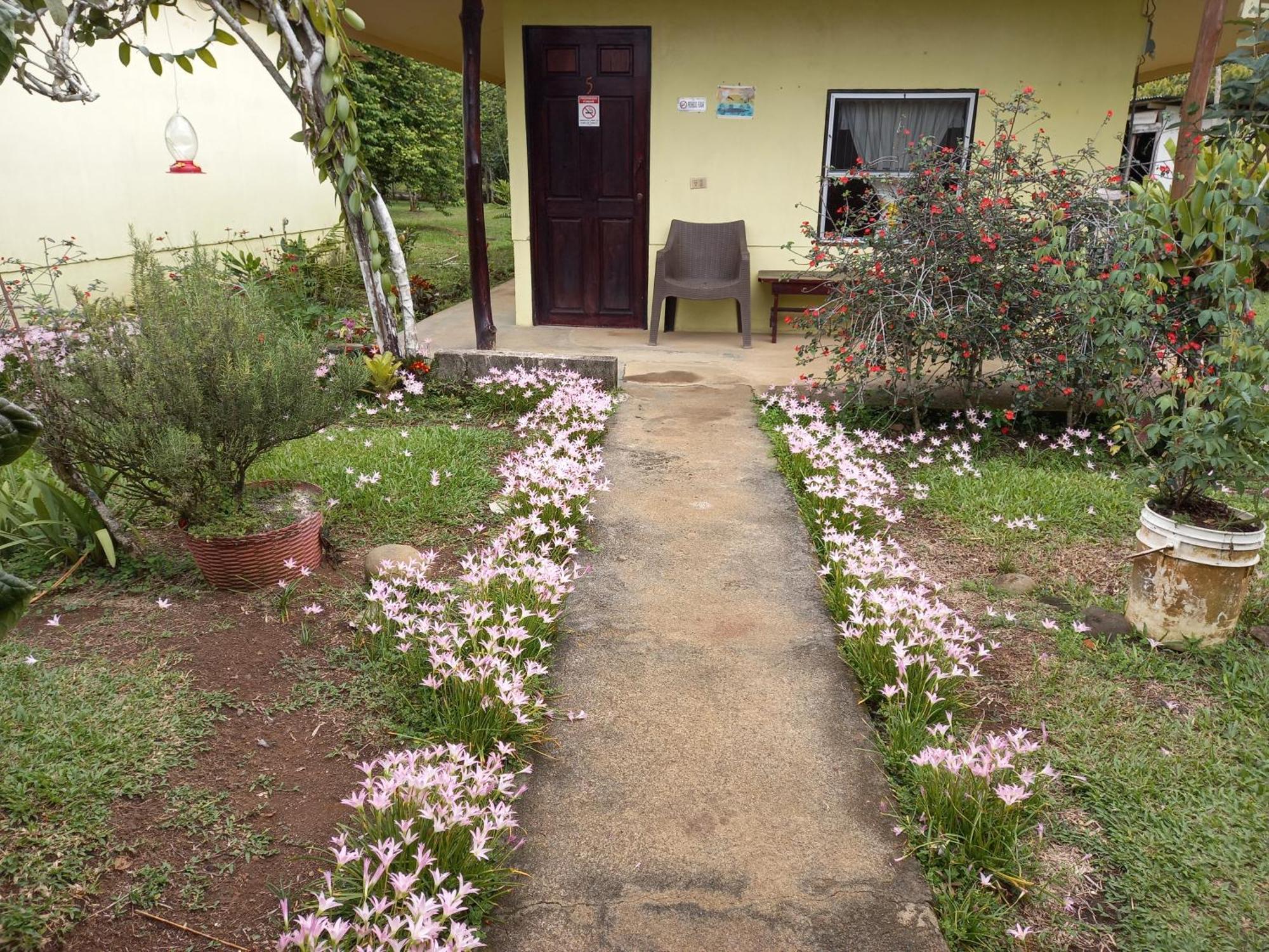 Posada Rural Oasis Caño Negro Dış mekan fotoğraf